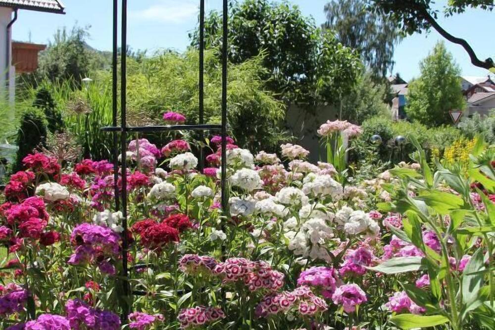 Photo of Outdoor in Bodenmais