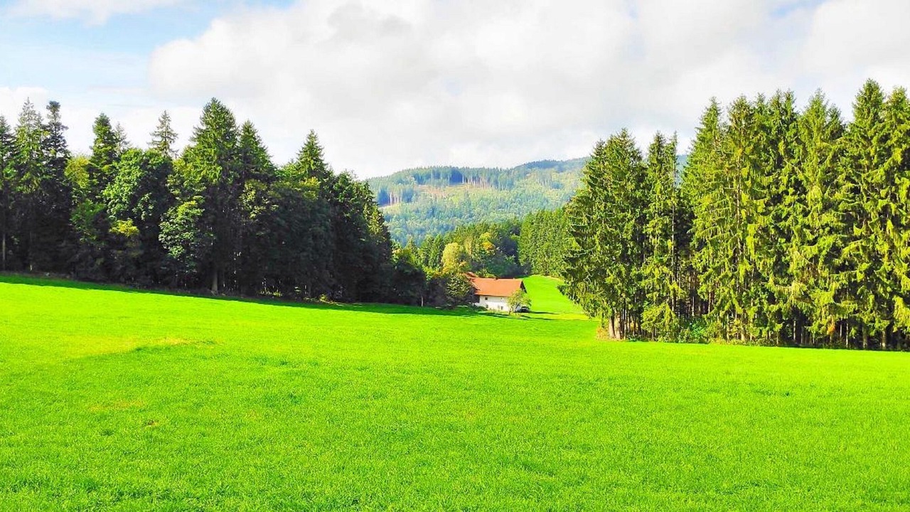 Photo of Outdoor in Kollnburg