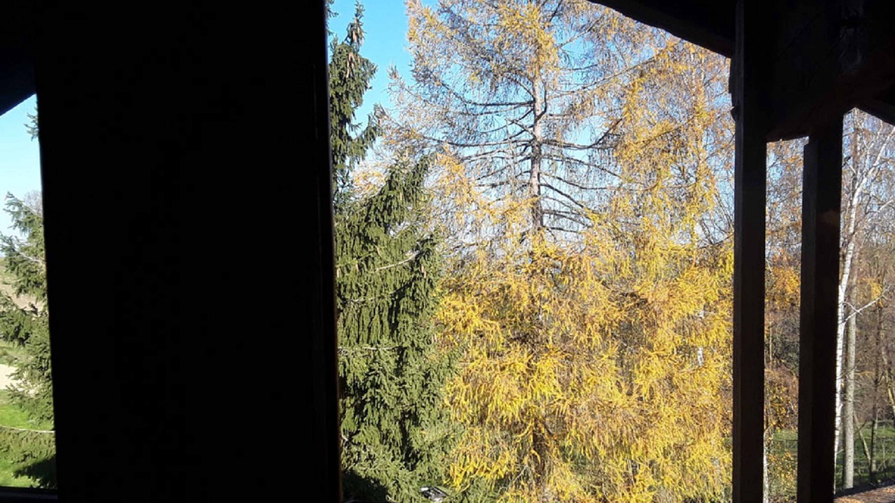 Photo of Outdoor in Witzmannsberg