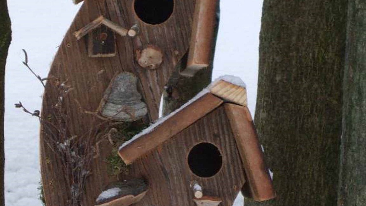 Photo of Outdoor in Sankt Englmar