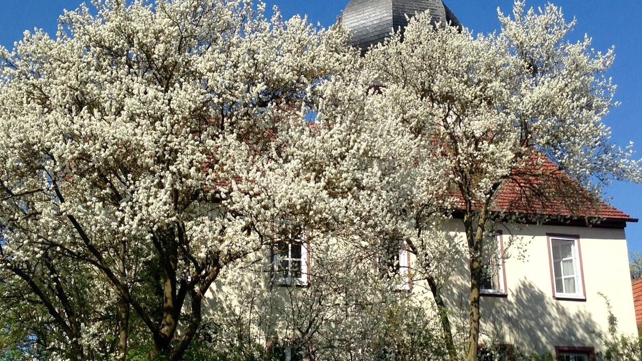 Photo of Outdoor in Wartmannsroth