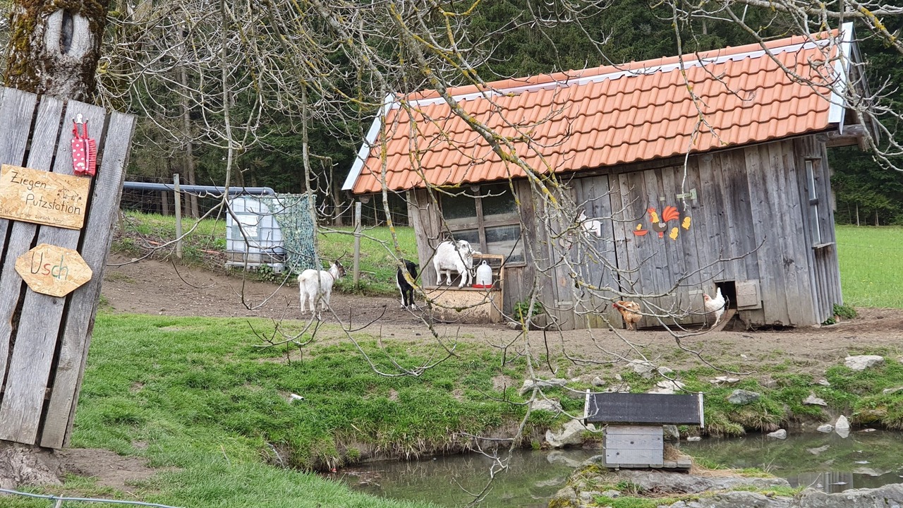 Photo of Outdoor in Eppenschlag