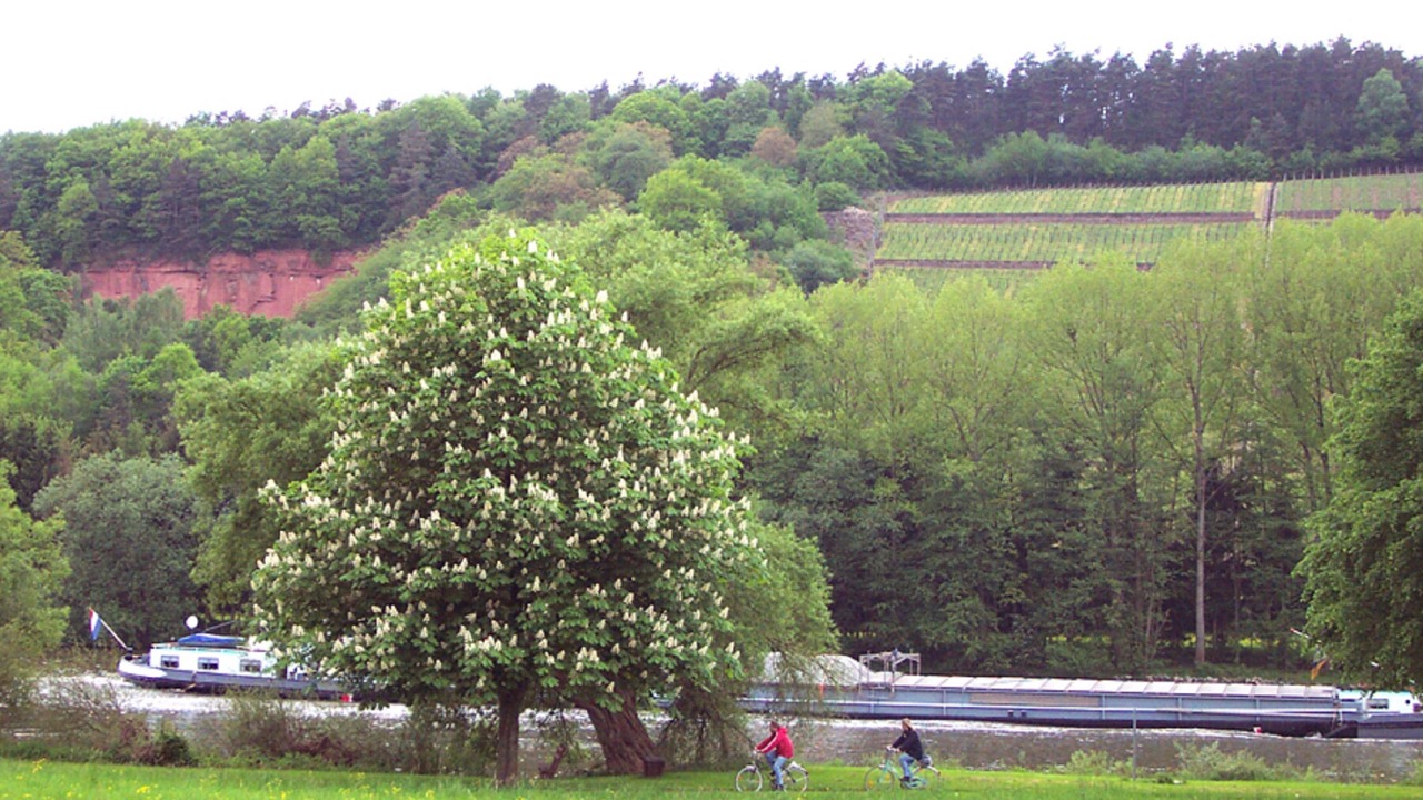 Photo of Outdoor in Buergstadt