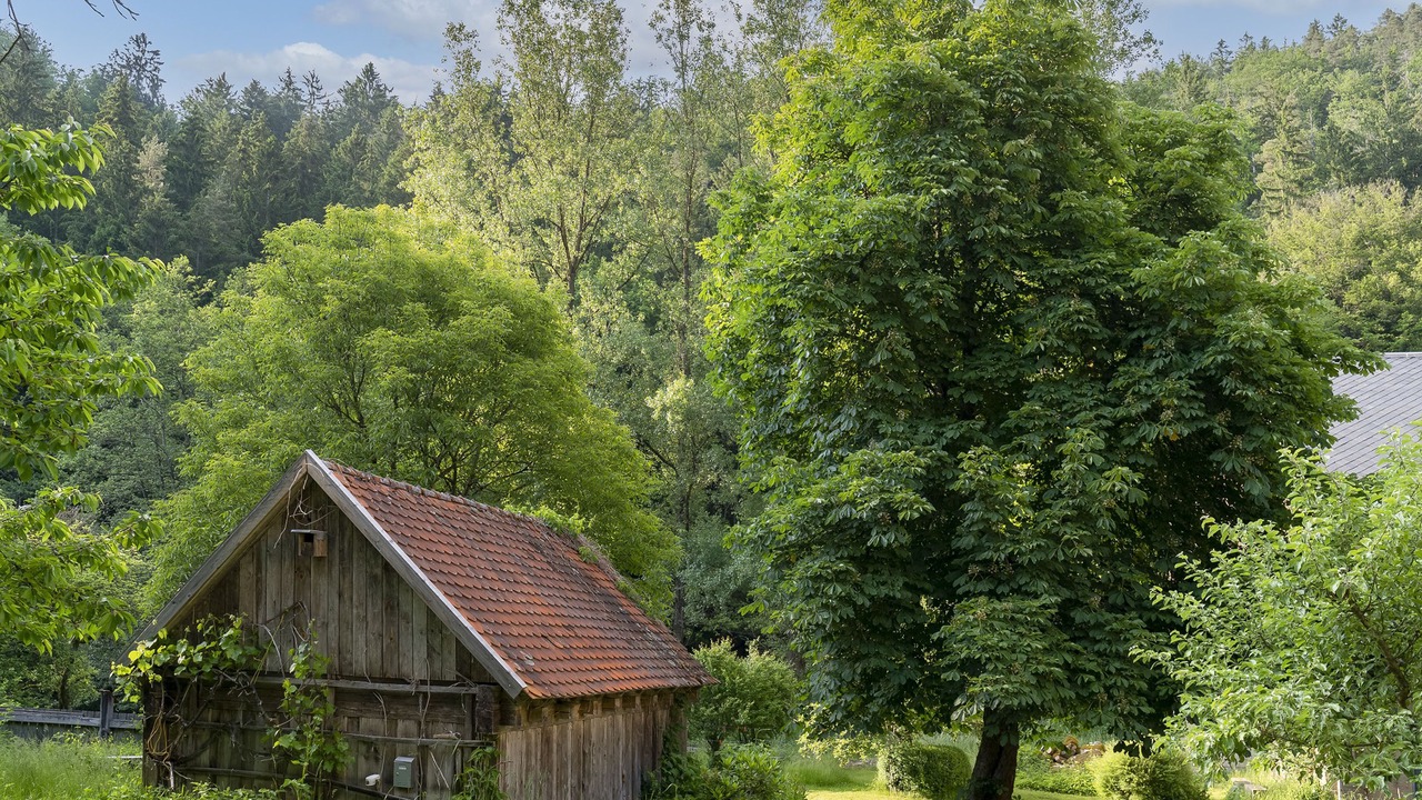 Photo of Outdoor in Neunburg vorm Wald