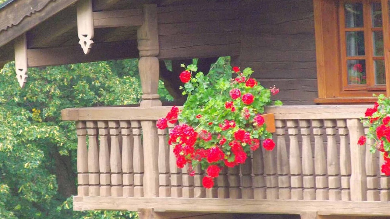 Photo of Outdoor in Waldmuenchen