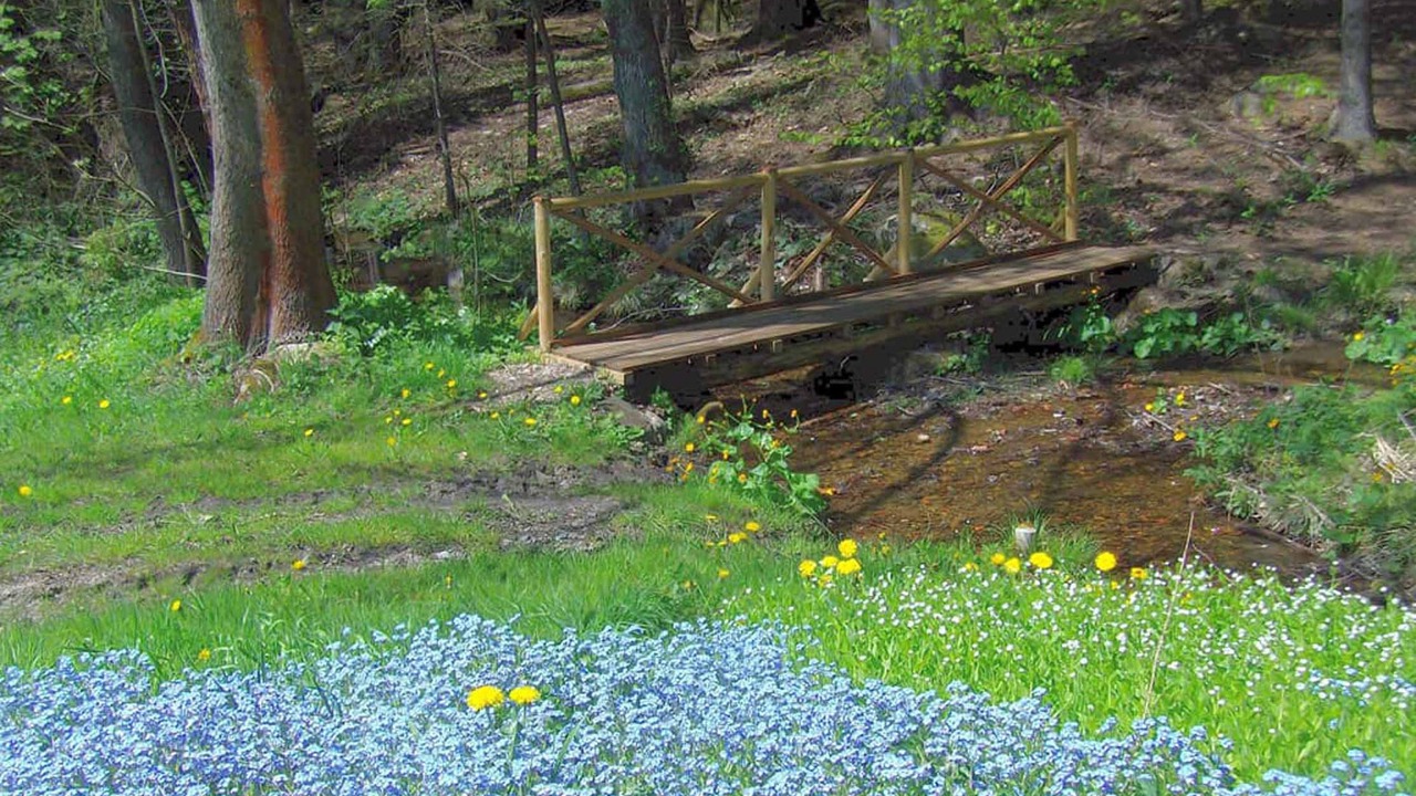 Photo of Outdoor in Waldmuenchen