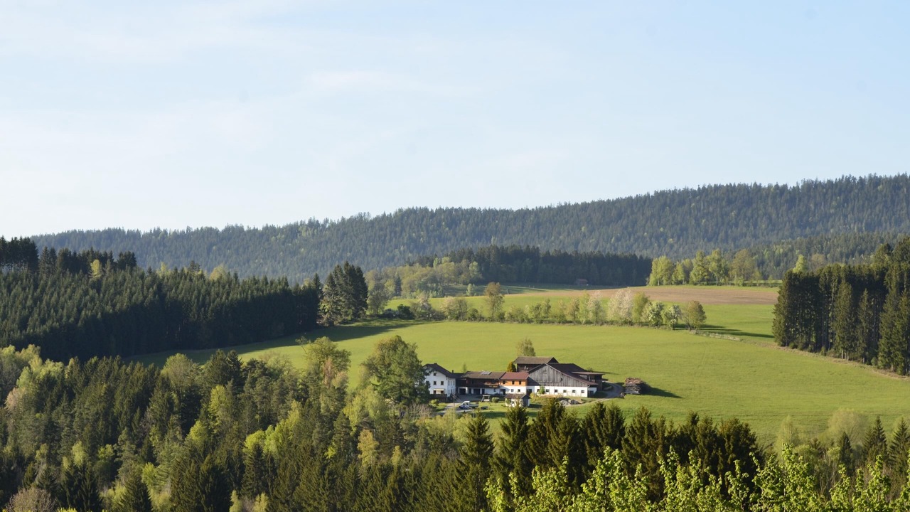 Photo of Others in Schwarzenbach