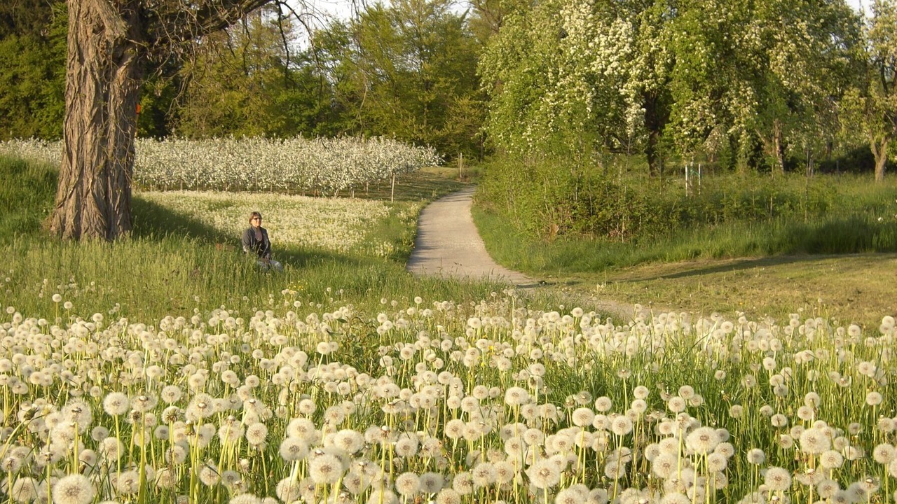 Photo of Outdoor in Bodolz