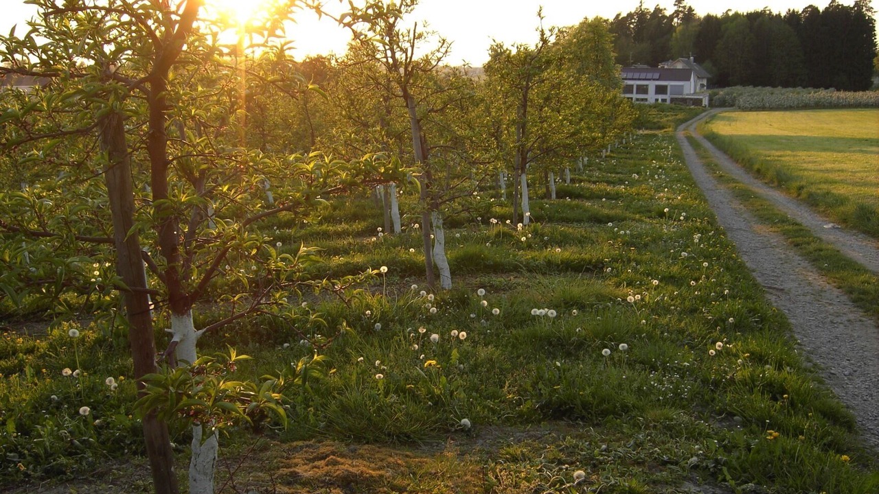 Photo of Outdoor in Bodolz