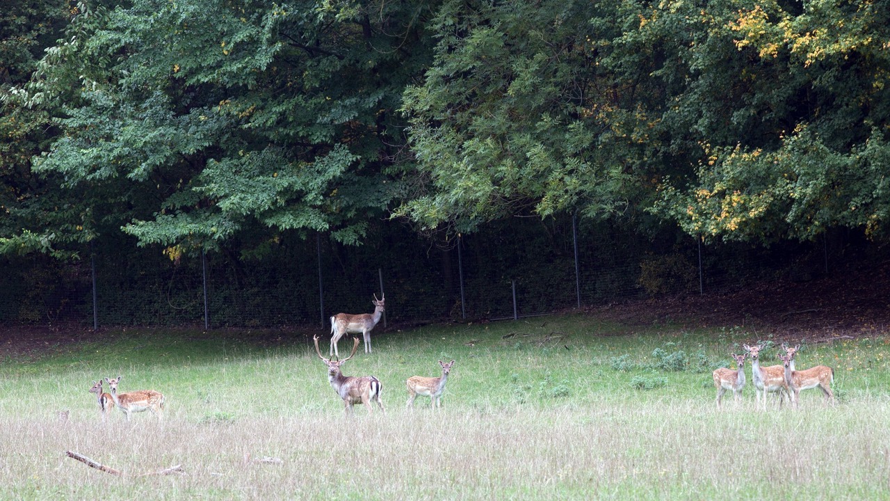 Photo of Outdoor in Iphofen