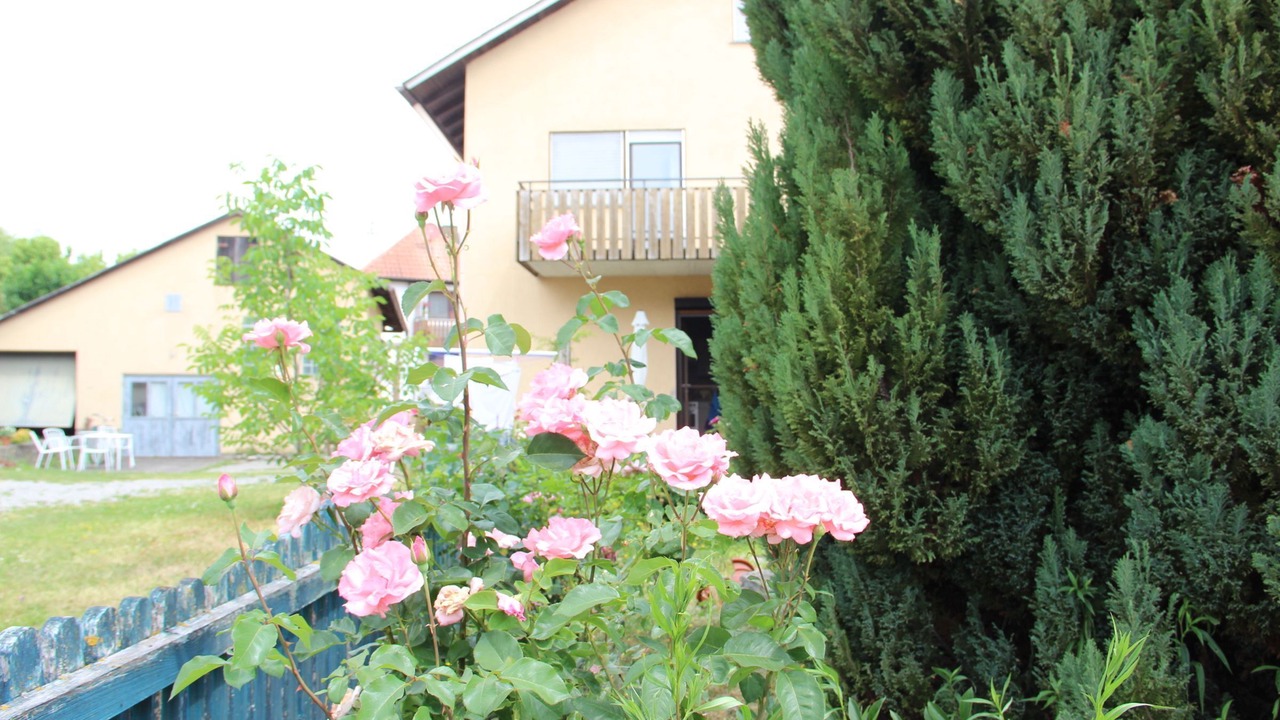 Photo of Outdoor in Muehlingen