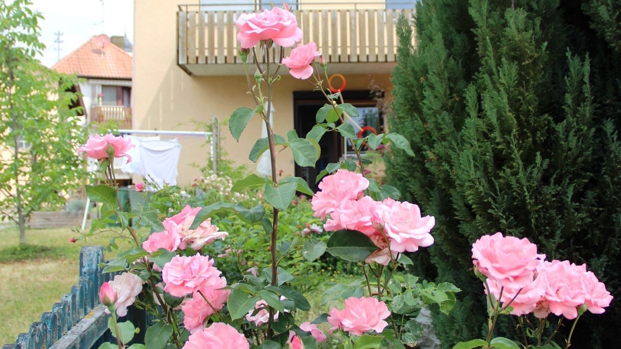 Photo of Outdoor in Muehlingen