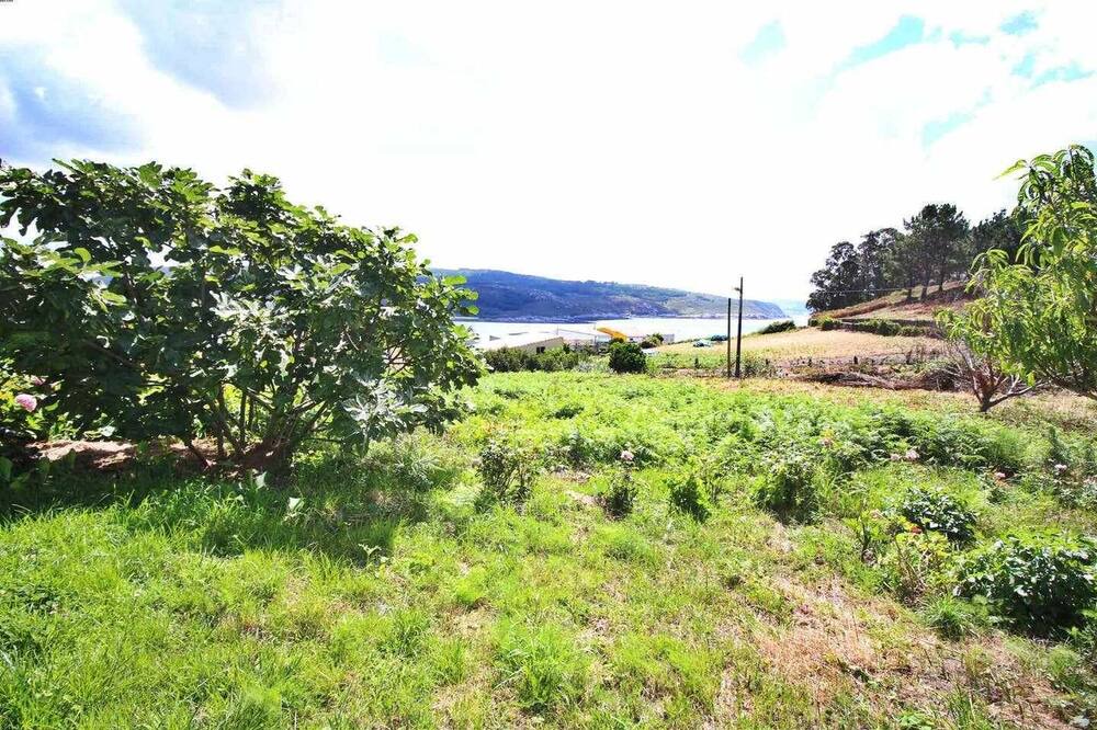 Photo of Outdoor in Corme Porto