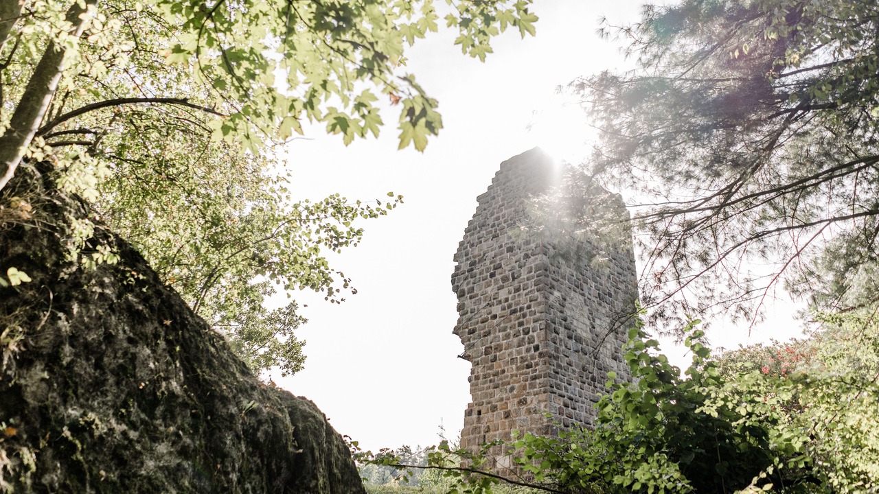 Photo of Buildings in Chammunster