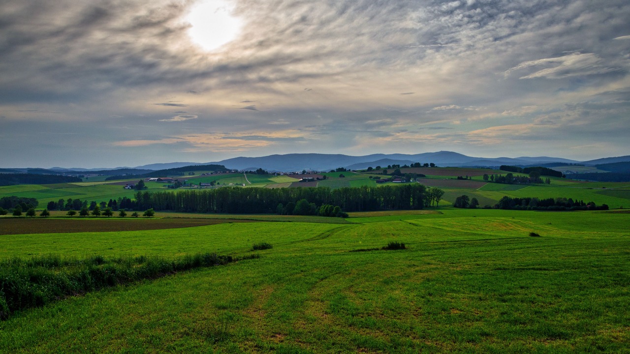 Photo of Outdoor in Warzenried