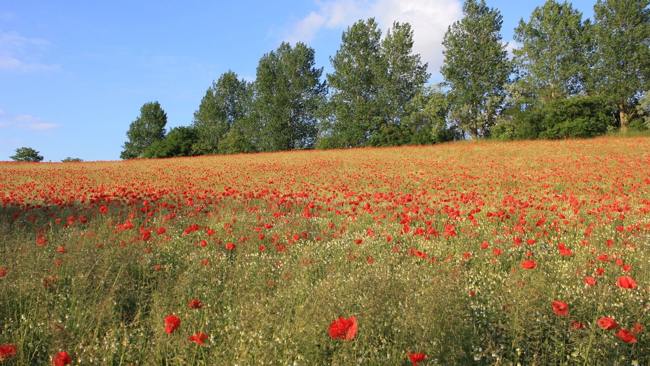 Photo of Outdoor in Steffenshagen