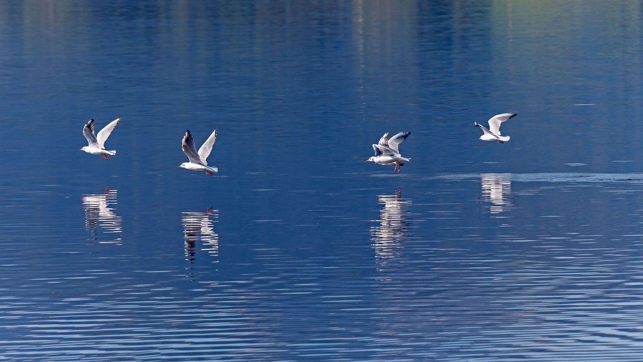 Photo of Outdoor in Hopfen am See
