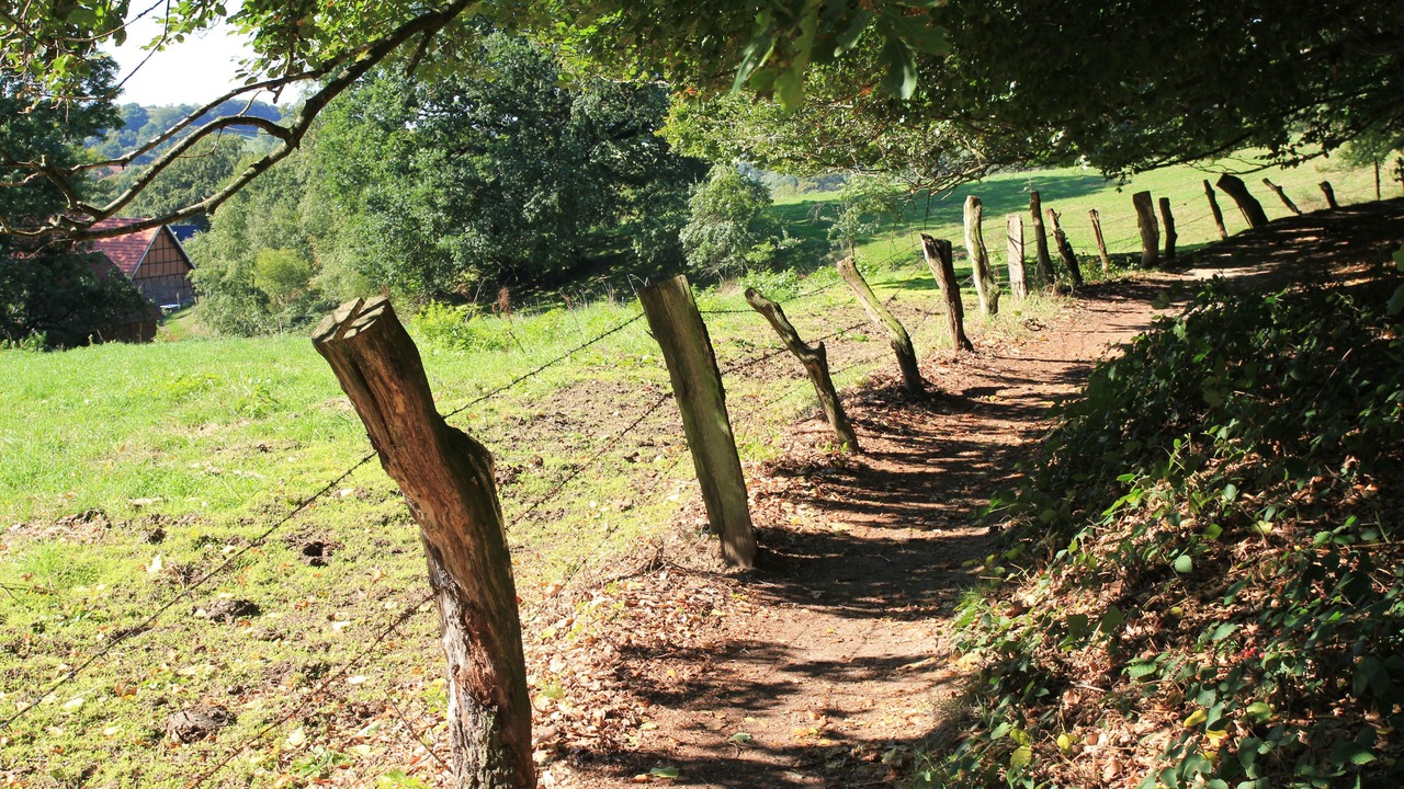 Photo of Outdoor in Brochterbeck