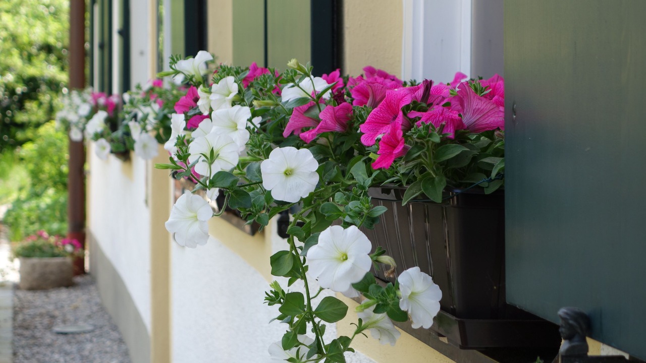 Photo of Outdoor in Herrsching am Ammersee