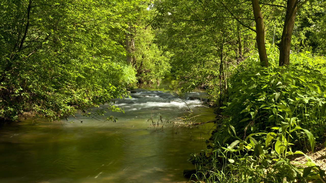 Photo of Outdoor in Erlangen