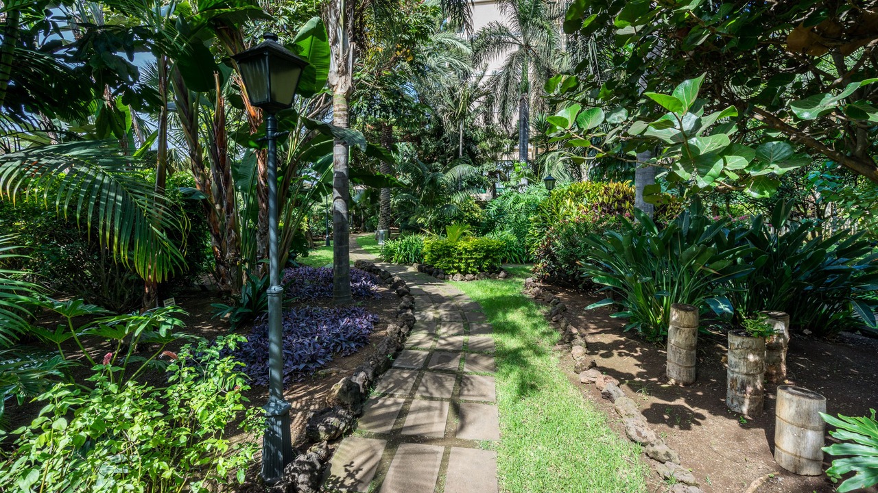 Photo of Outdoor in Puerto de la Cruz