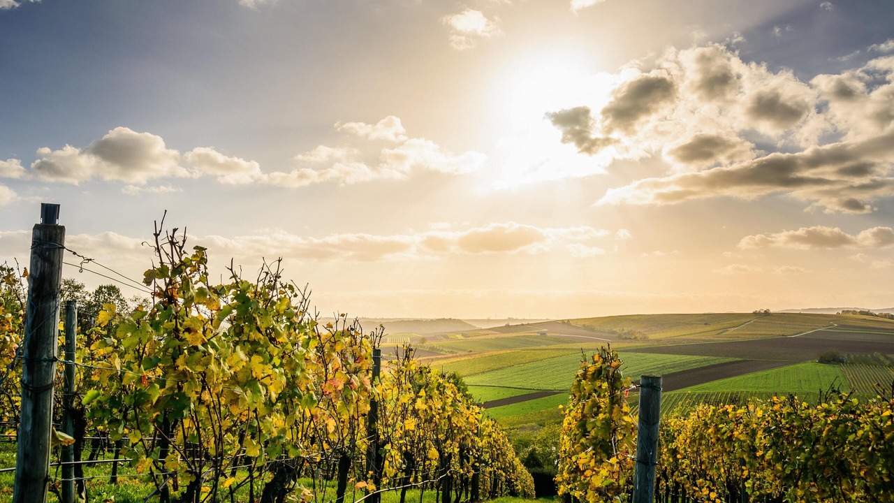 Photo of Outdoor in Ochsenfurt