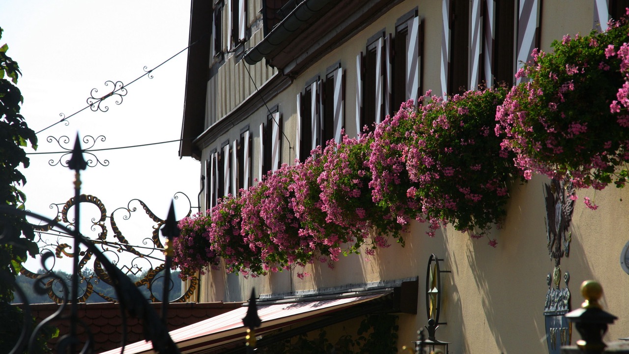 Photo of Outdoor in Reichelshofen