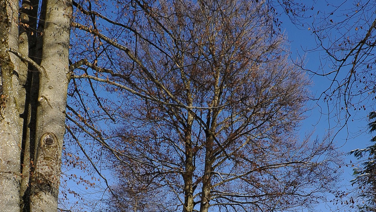 Photo of Outdoor in Oberschonau