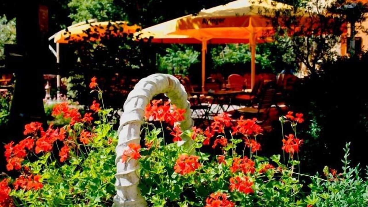 Photo of Outdoor in Pasing