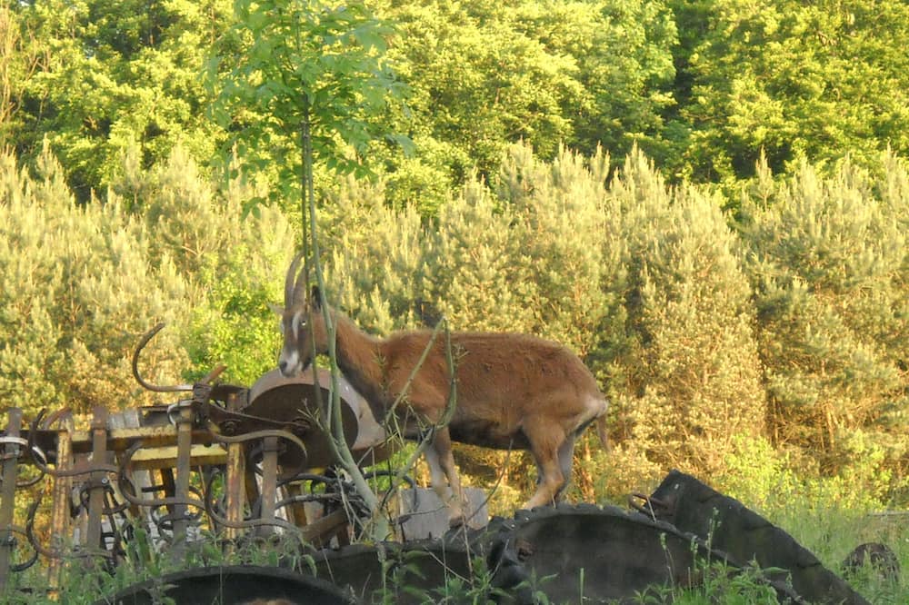 Photo of Outdoor in Kalkhorst