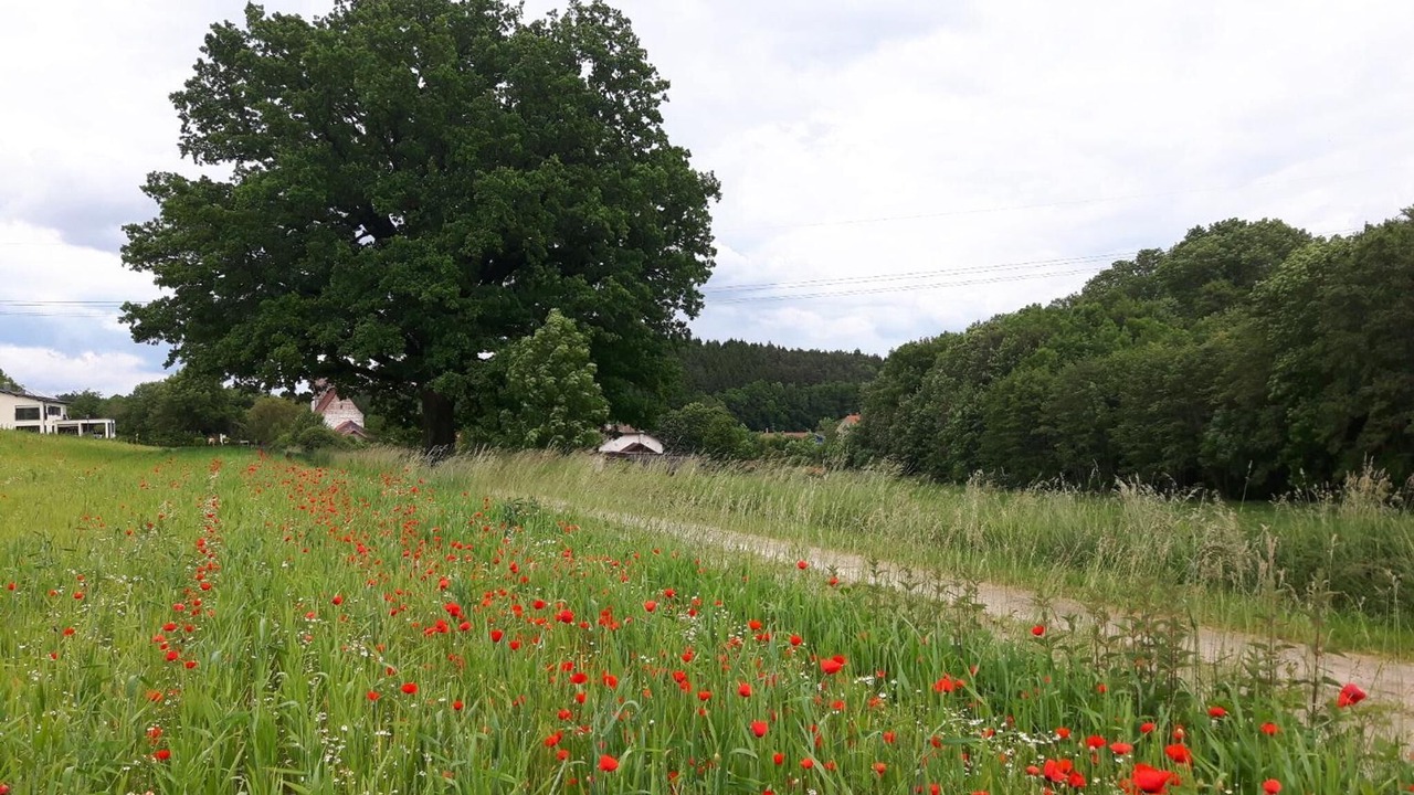 Photo of Outdoor in Kumhausen