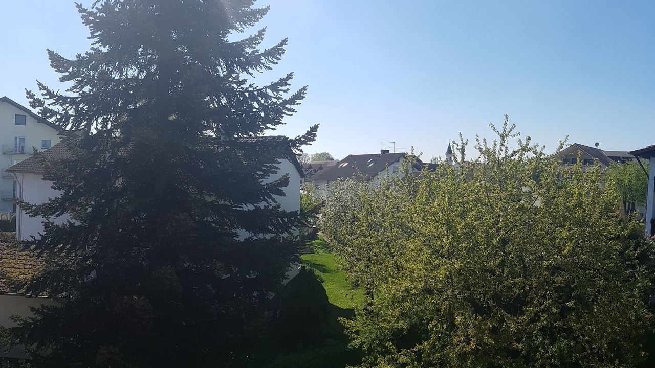 Photo of Others in Safferstetten