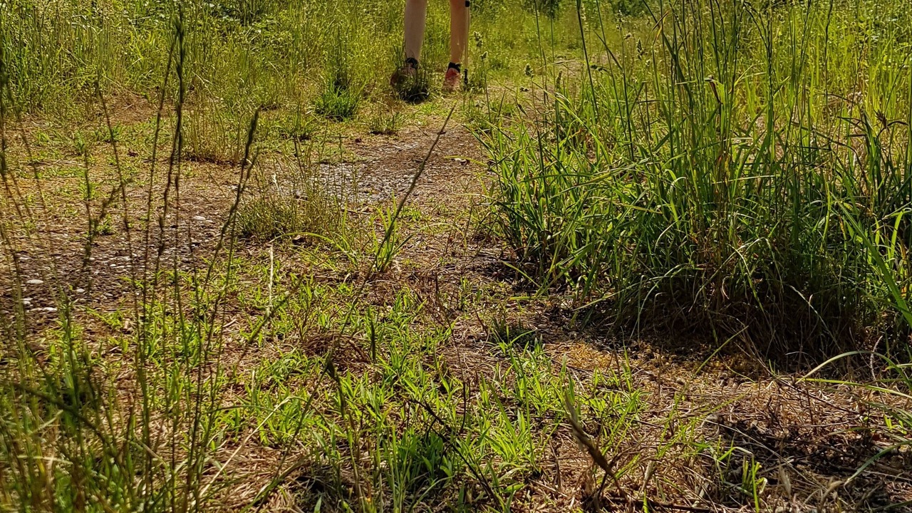 Photo of Outdoor in Safferstetten
