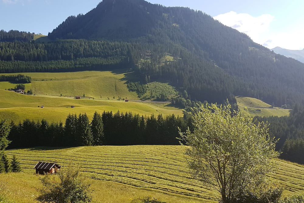 Photo of Patio Balcony in Berwang