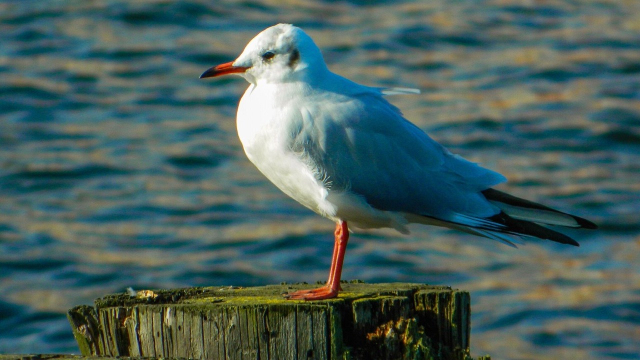 Photo of Others in Wittenbeck