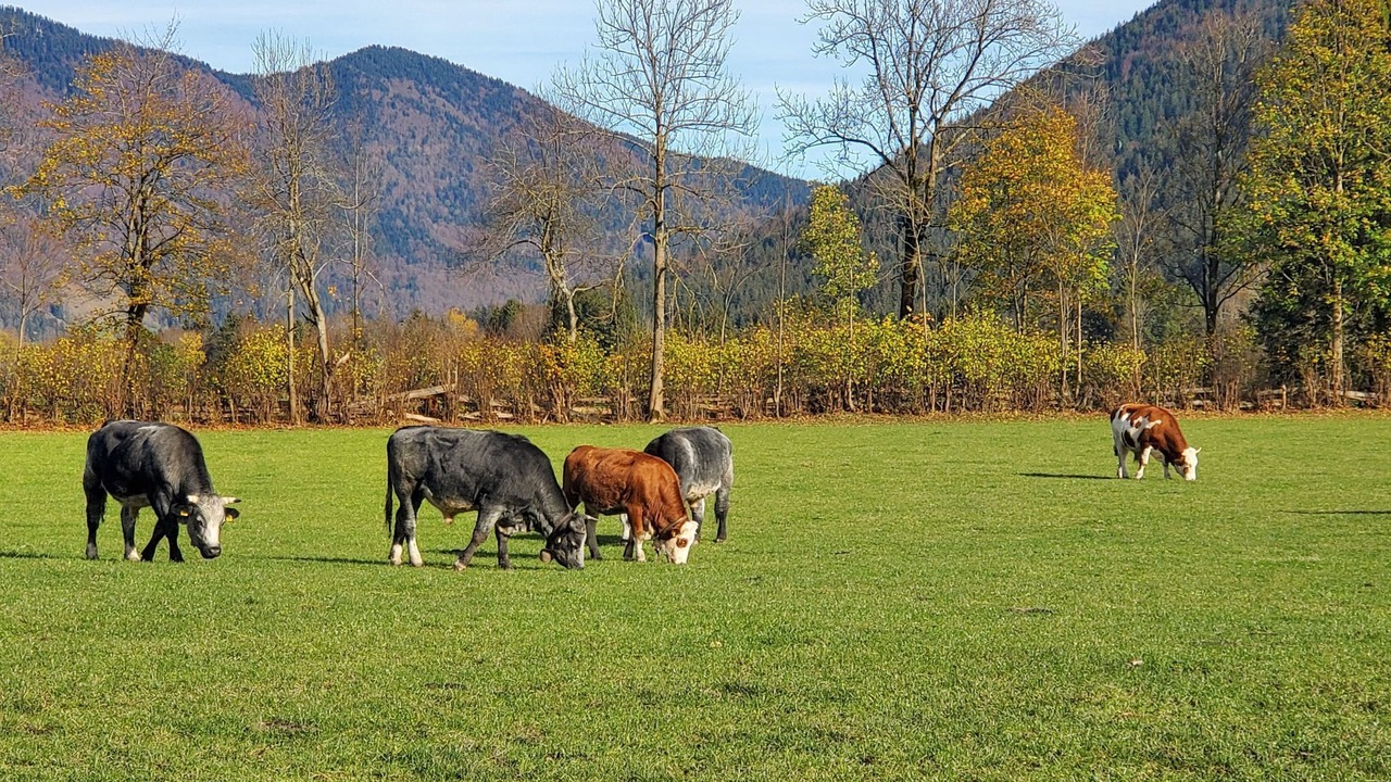 Photo of Outdoor in Kreuth