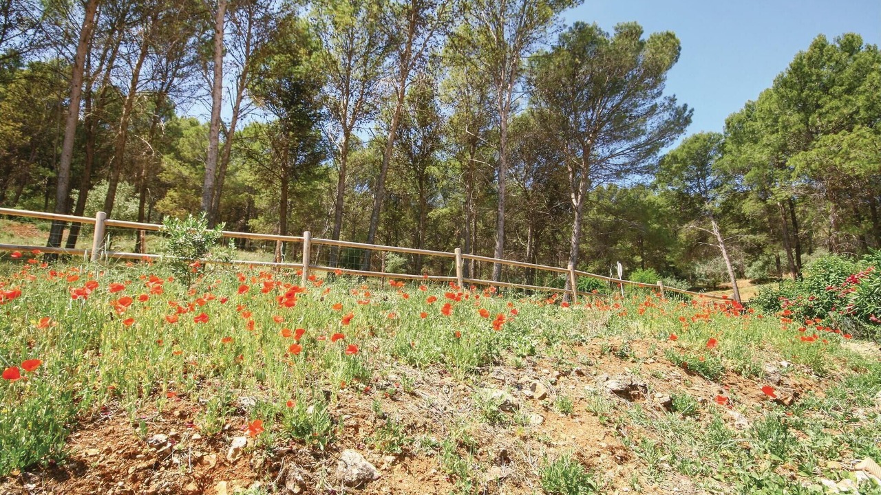 Photo of Outdoor in Gaucin