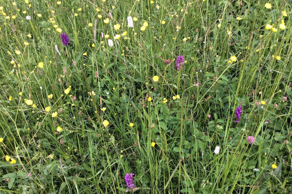 Photo of Outdoor in Sandberg