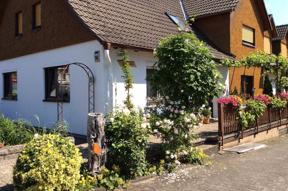 Photo of Outdoor in Sandberg