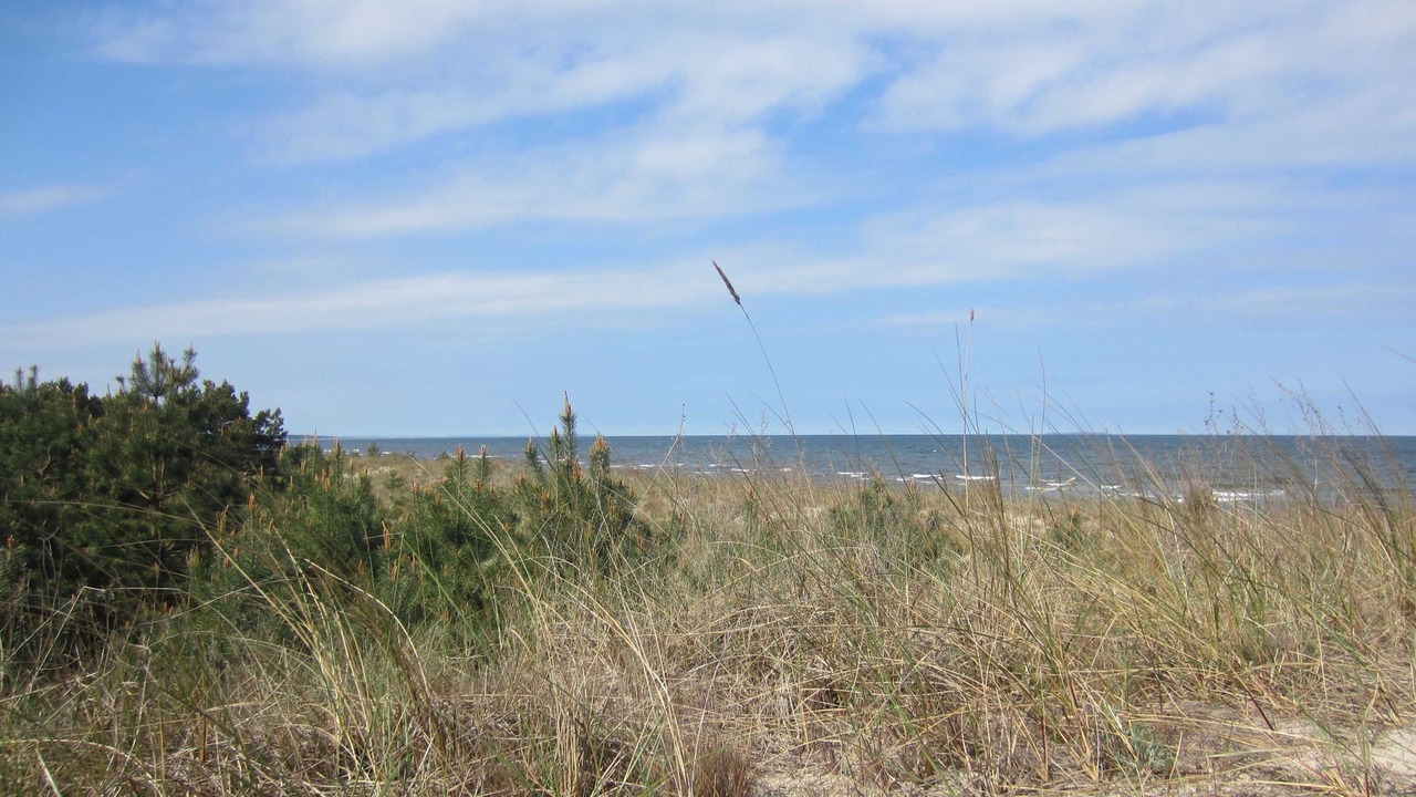 Photo of Outdoor in Bannemin