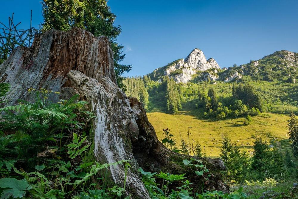 Photo of Outdoor in Riedlern
