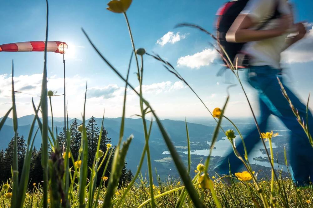Photo of Others in Riedlern