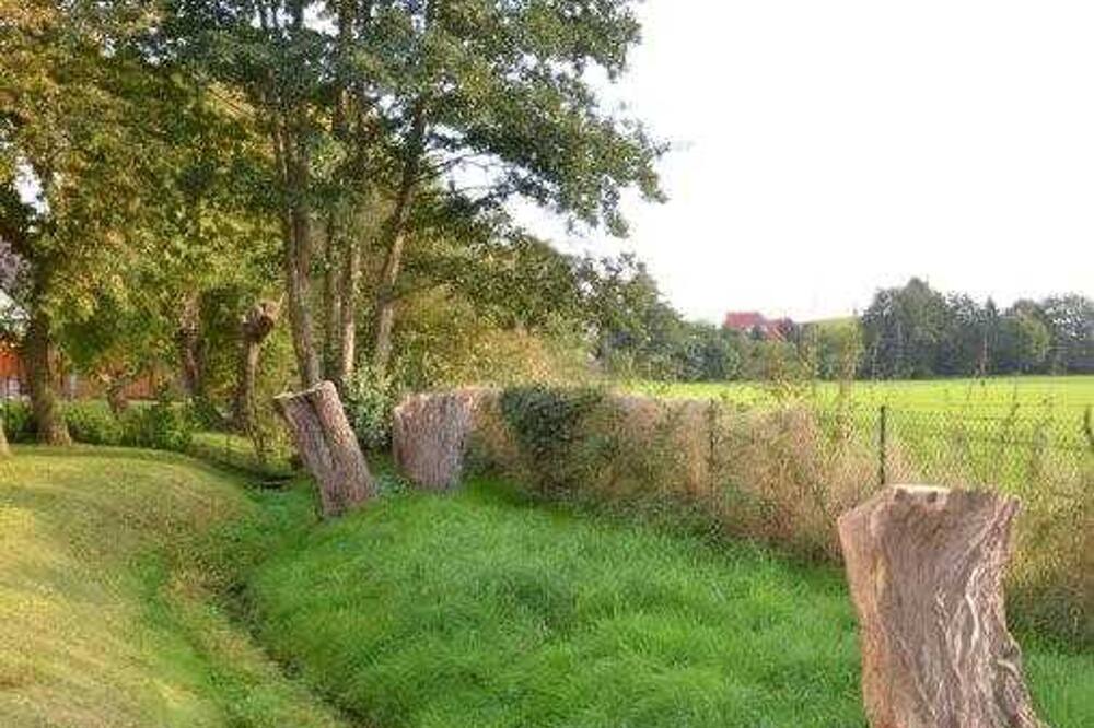 Photo of Outdoor in Wittenbeck