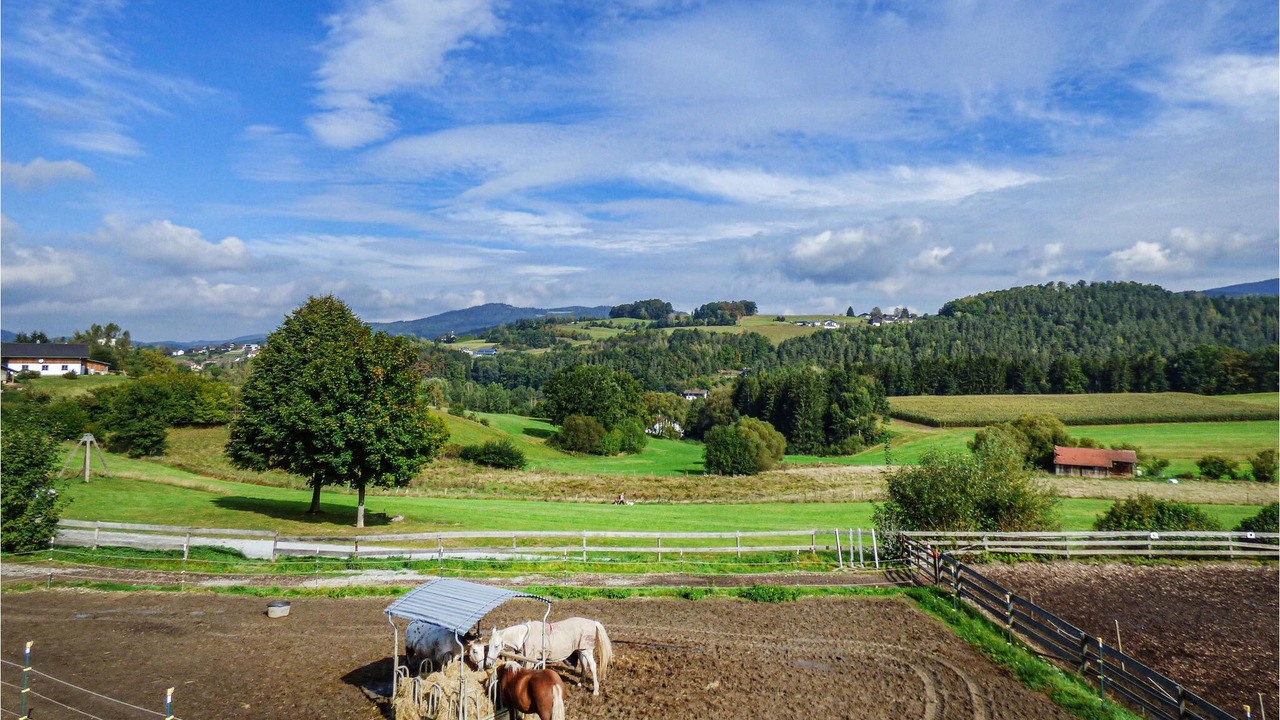 Photo of Outdoor in Schlatzendorf