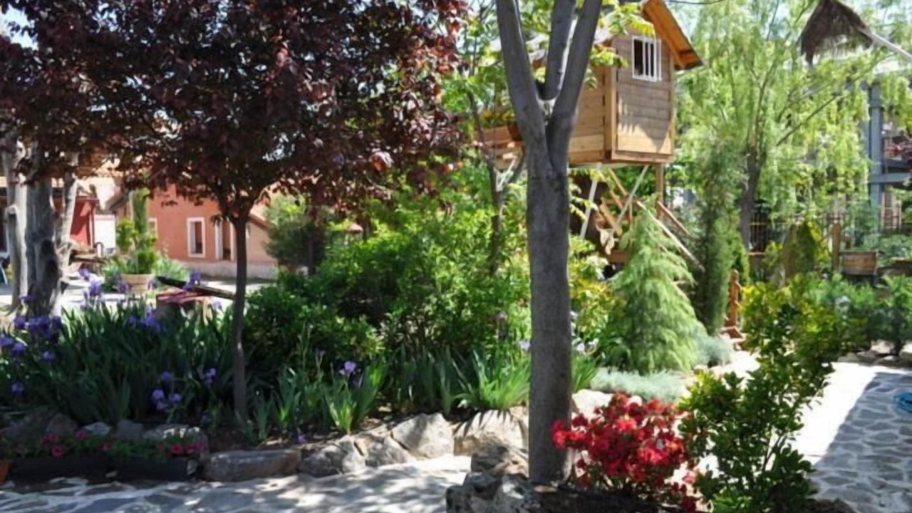 Photo of Outdoor in Olmedo