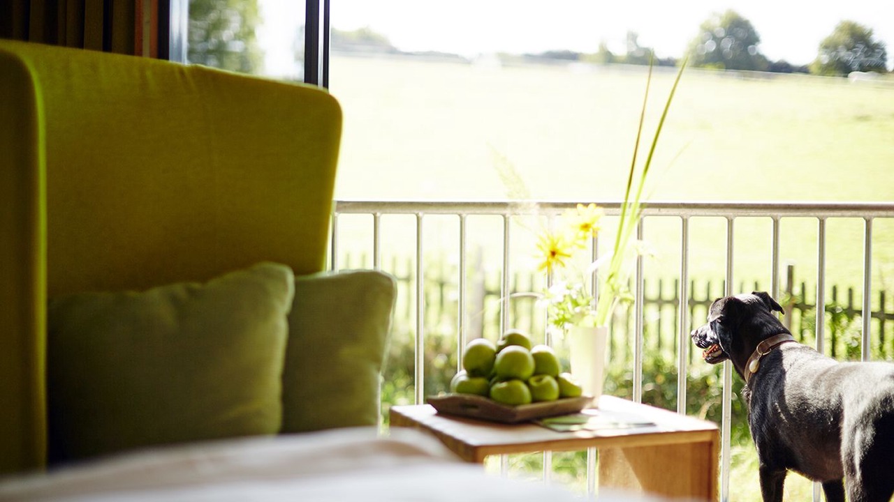 Photo of Bedroom in Wildewiese