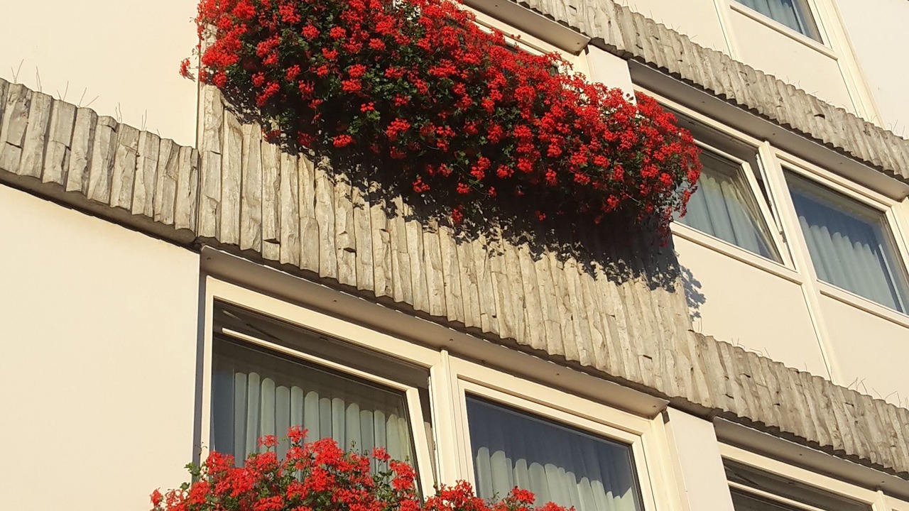 Photo of Outdoor in Neu-Ulm