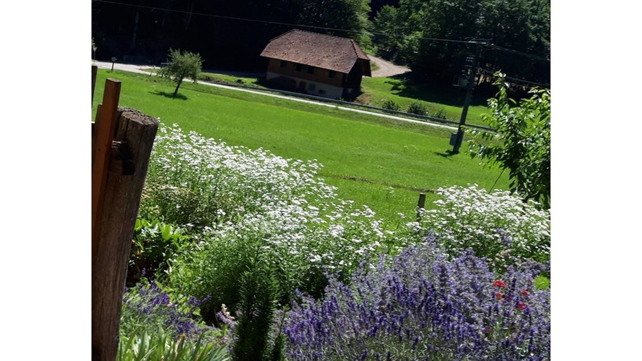 Photo of Outdoor in Schuttertal