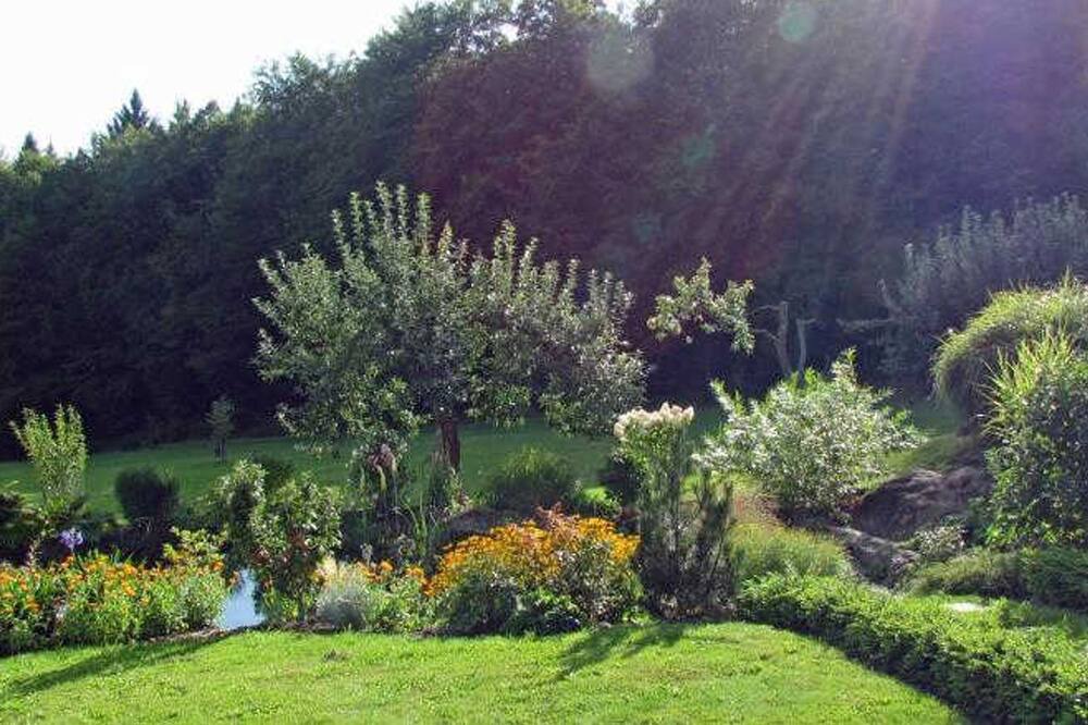 Photo of Outdoor in Spiegelau
