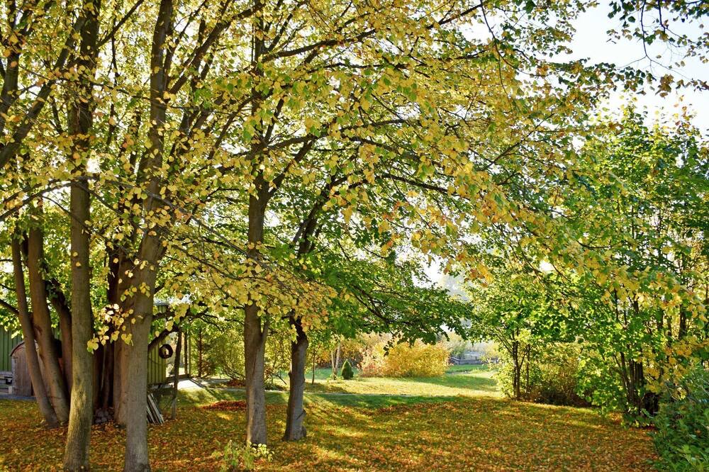 Photo of Outdoor in Seedorf